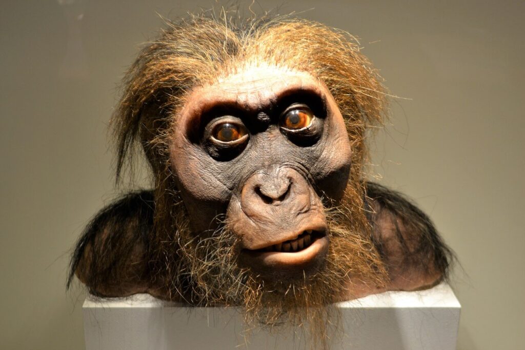 Neanderthals
