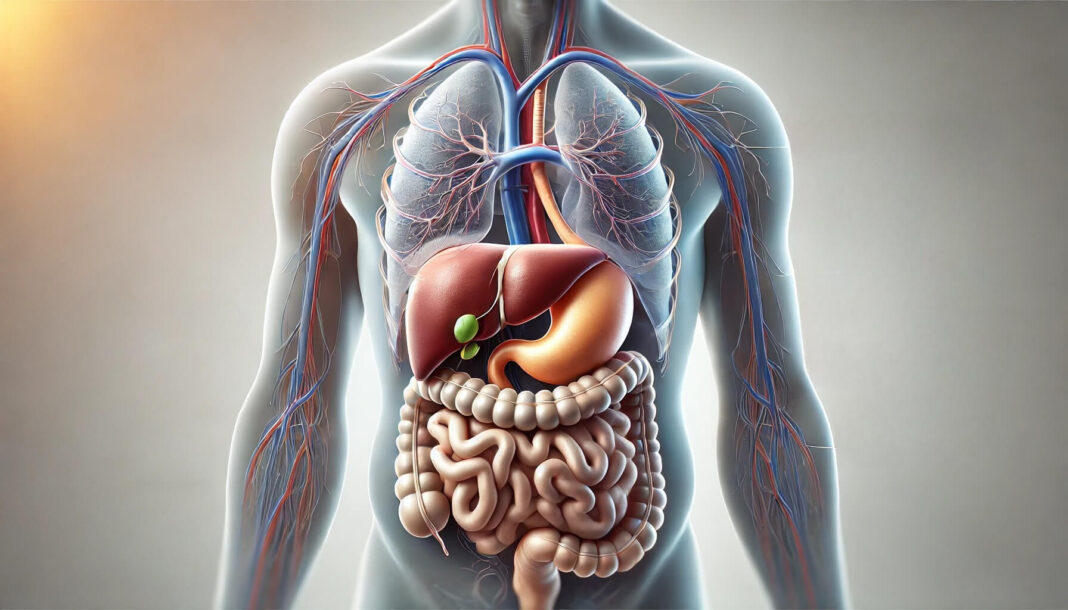 Mityba po tulžies operacijos – sveikos virškinimo sistemos adaptacija po tulžies pašalinimo.