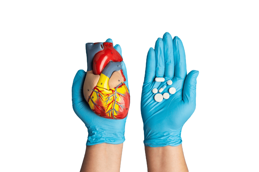 Mėlynomis pirštinėmis apsaugotos rankos laiko širdies modelį ir tabletes, simbolizuojant pasirinkimą tarp medikamentų ir liaudiškų vaistų nuo cholesterolio.
