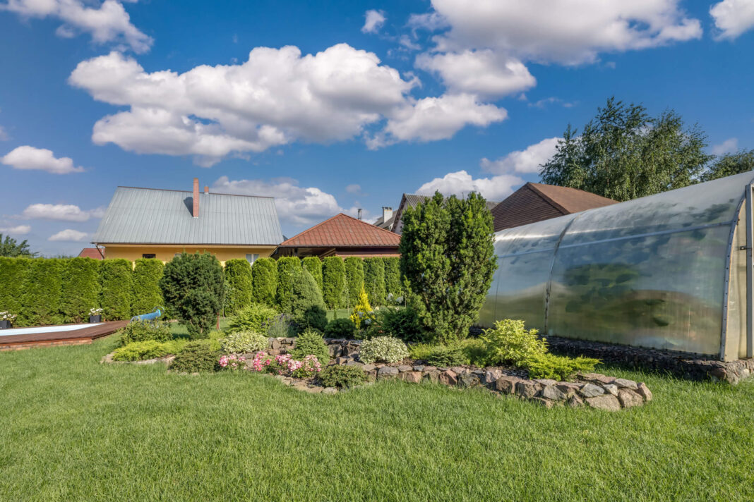 Šiltnamis šalia tujų – kaip tai veikia augalus jūsų darže