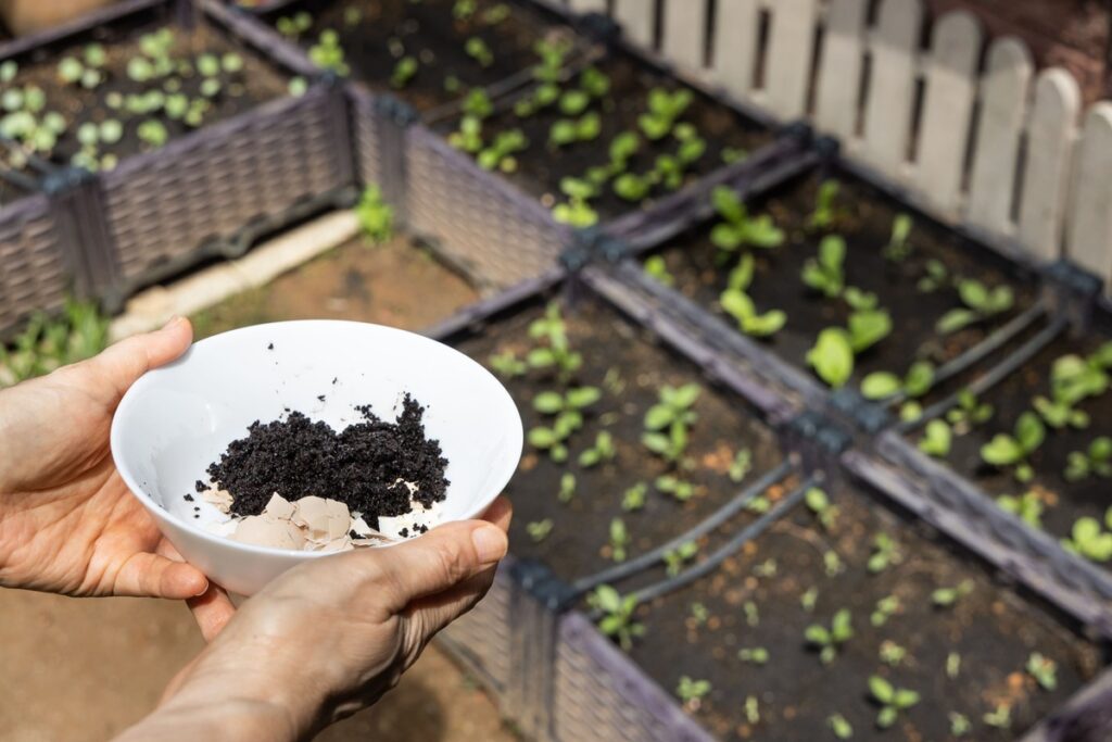 Atliekos vietoj trąšų dirvai gerinti darže
