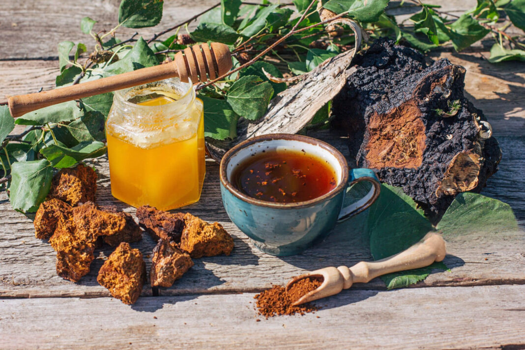 Natūralios priemonės nuo vėžio – čaga grybas, medus ir arbata sveikatai stiprinti.