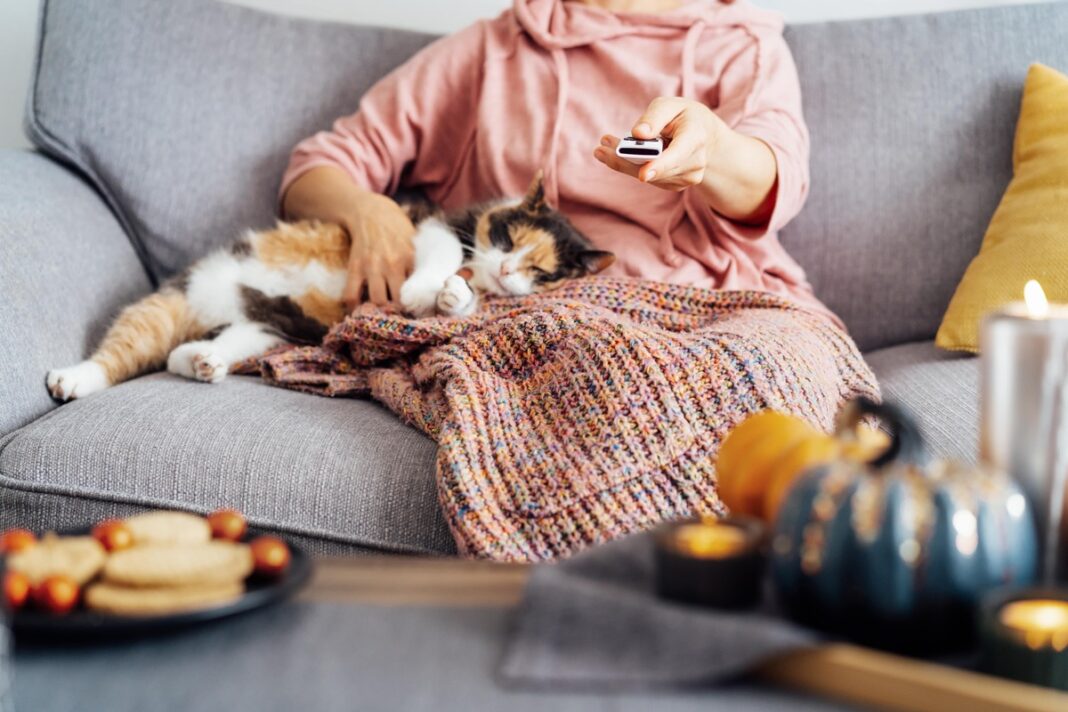 Katė miega šalia žmogaus – ar katės jaučia žmogaus ligą