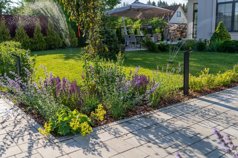Atsisakoma hortenzijų soduose, renkamasi kitus daugiamečius augalus