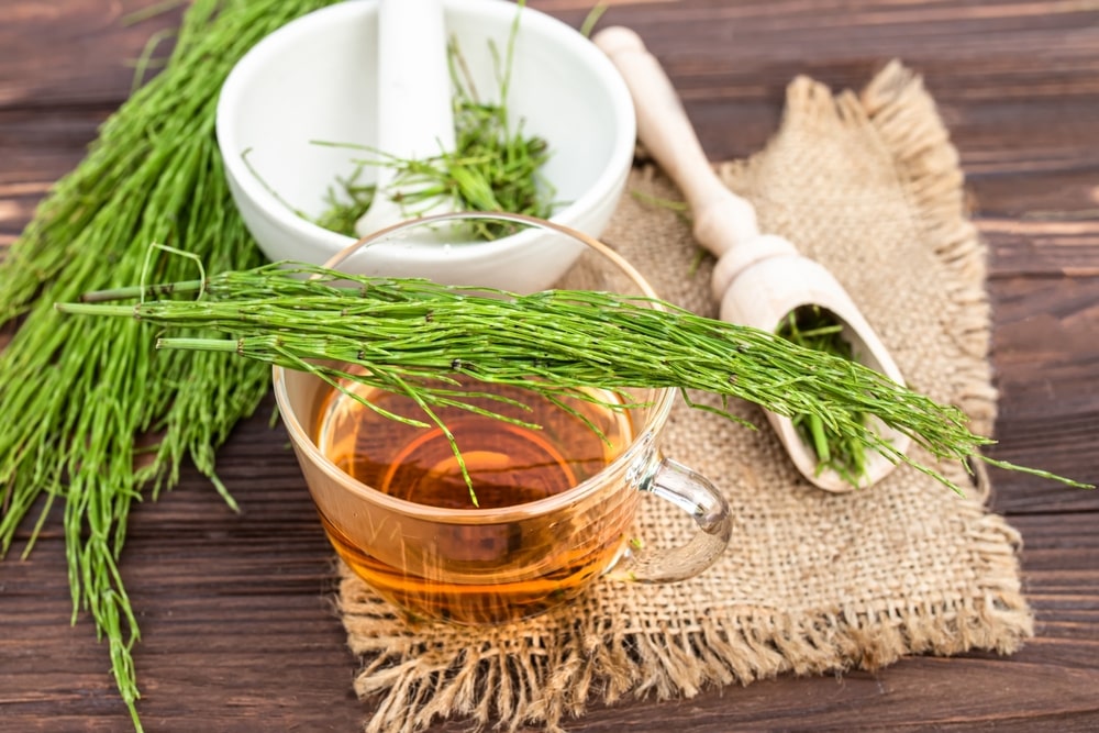 Dirvinis asiūklis pilvo riebalams – žolelių arbata stikliniame puodelyje