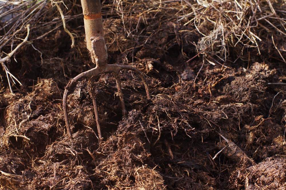 Mėšlo trąša laukuose – kaip ją naudoja ūkininkai