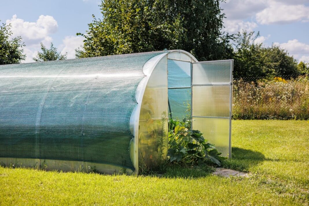 paliktas-atviras-siltnamis-sodo-viduryje Paliktas atviras šiltnamis sodo viduryje