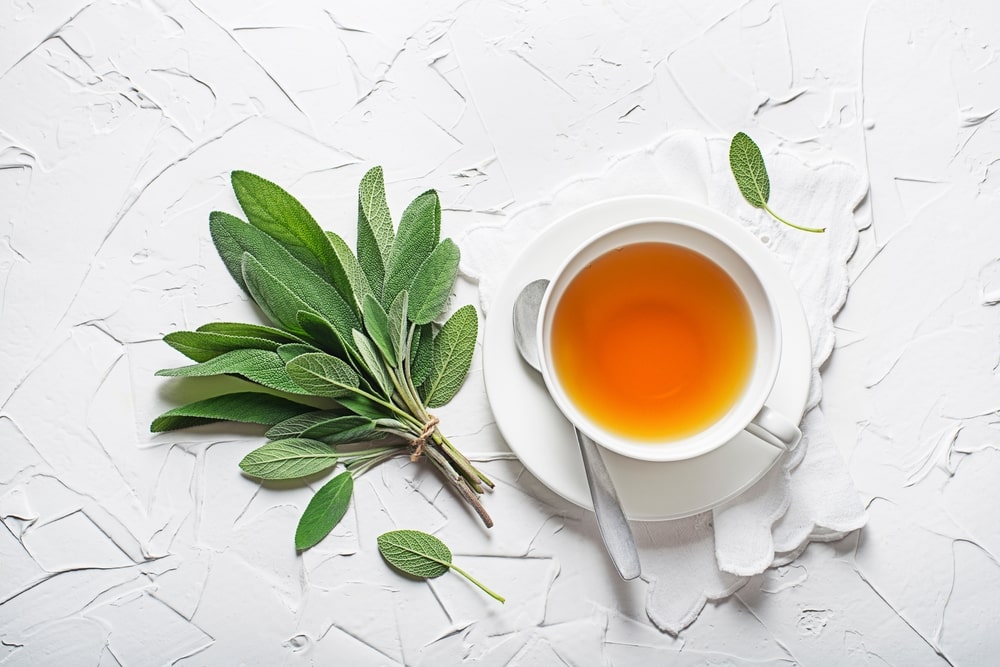 Suktažolės arbata spaudimui – natūralus gėrimas iš džiovintų arba šviežių augalo lapų