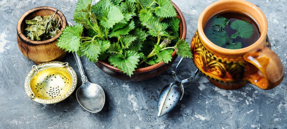 Dilgėlių arbata kraujui valyti – šviežios dilgėlės, džiovintos žolelės ir puodelis arbatos natūraliam kraujo stiprinimui.