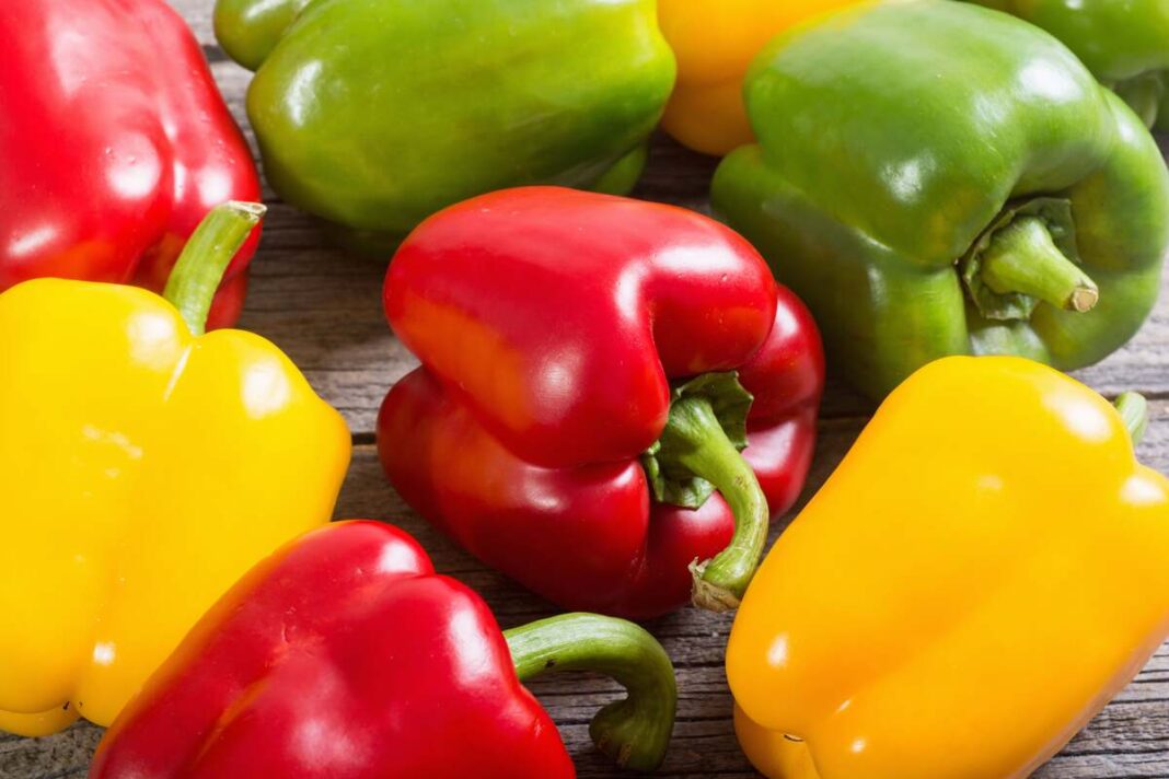Kuri paprika sveikiausia – raudonos, geltonos ir žalios paprikos sudėtos kartu, paruoštos palyginimui pagal naudingas savybes.