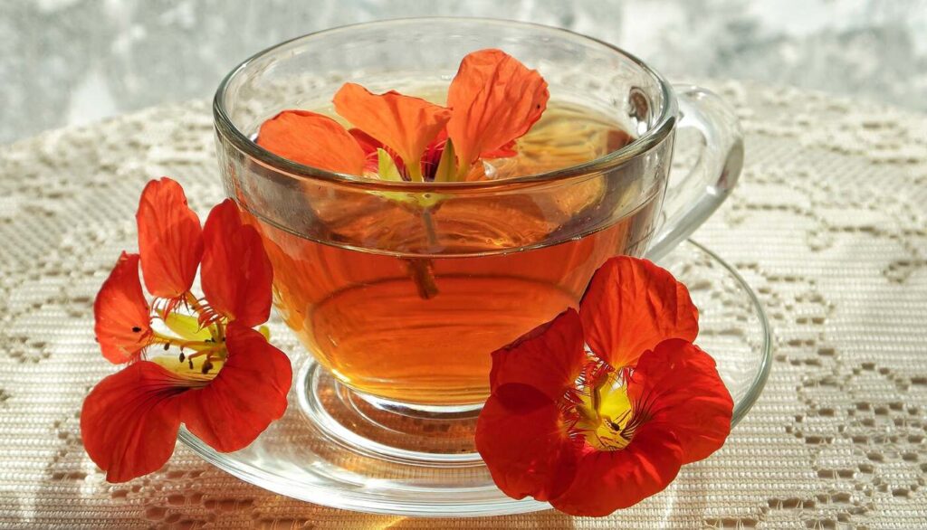 Nasturtos užpilas puodelyje – natūrali priemonė kvėpavimui, imunitetui ir virškinimo stiprinimui.