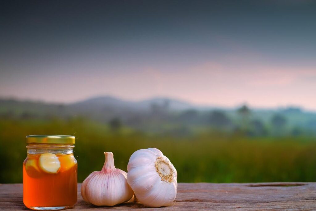 Stiprus natūralus antibiotikas su česnaku – stiklainis su imbieru ir medumi žaliame fone.