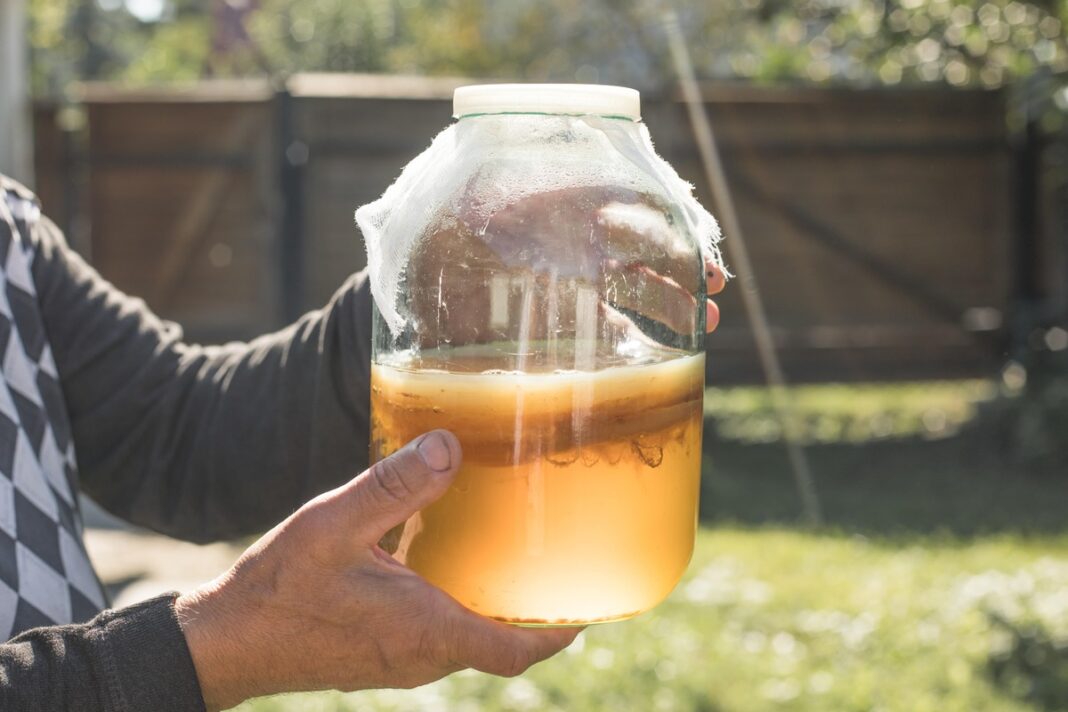 Kombučios nauda sveikatai – stiklainis su fermentuota arbata, paruošta gerti.