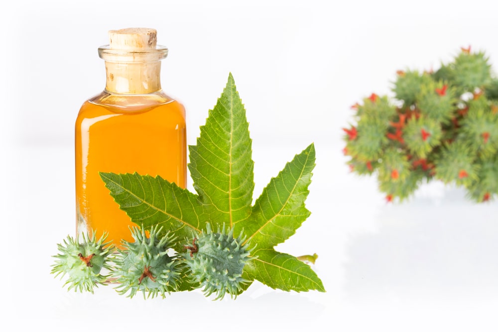 Ricinos lapai su buteliuku natūralaus ricinos aliejaus – vertingas duetas iš gamtos vaistinėlės.