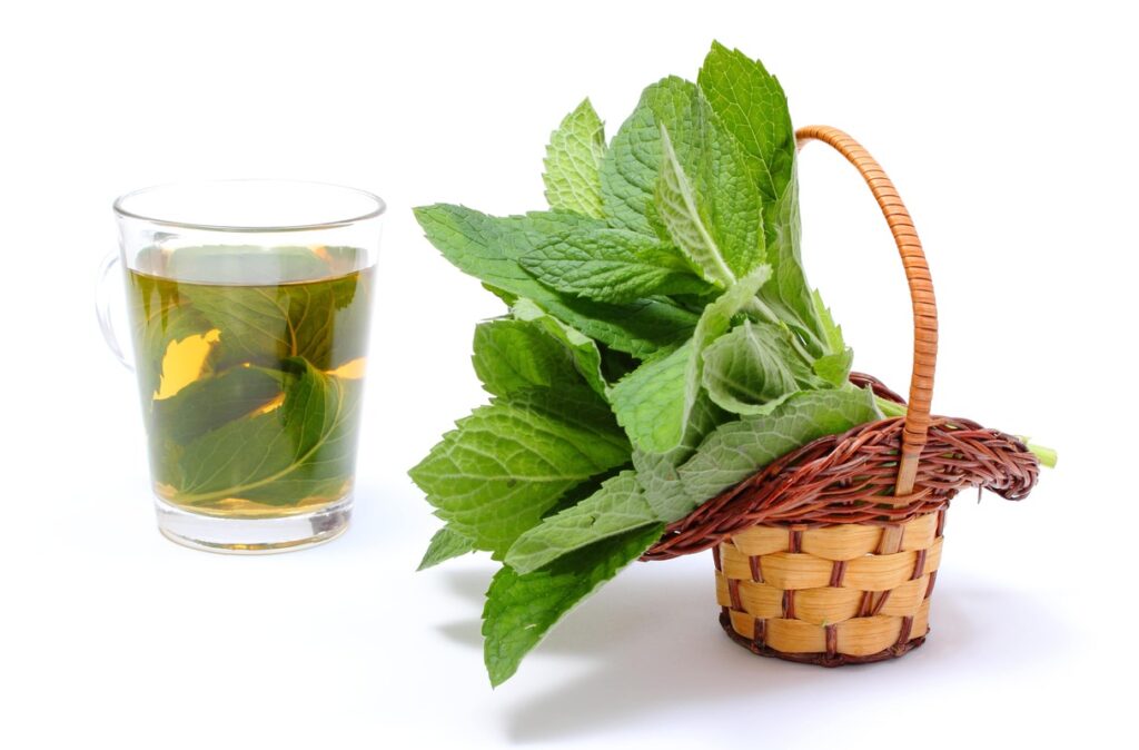 Puodelis dilgėlių arbatos.