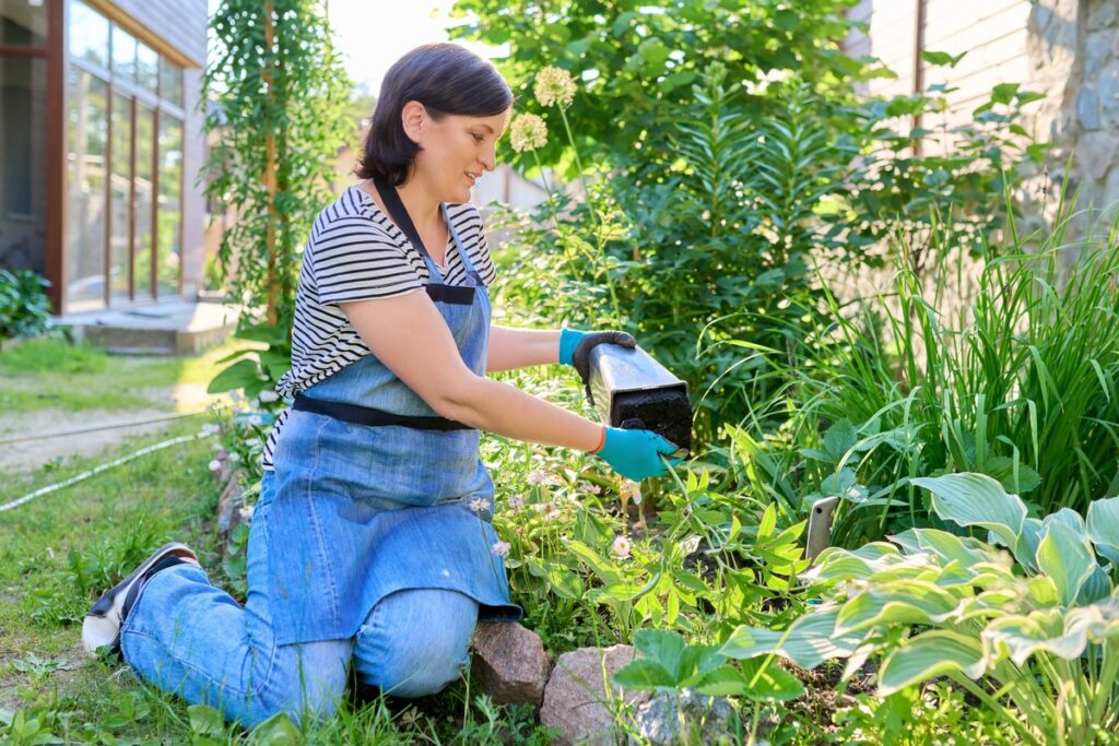 Bijūnai vazonuose žiemą išsilaiko tik gavę tinkamą priežiūrą ir apsaugą nuo šalčio.