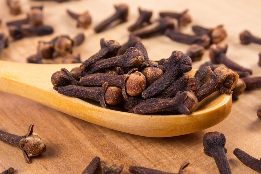 Gvazdikėlių auginimas prasideda nuo šių džiovintų pumpurų, kurie virsta kvapniu prieskoniu.