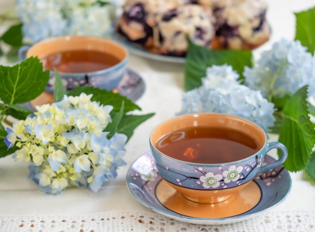 Hortenzijos poveikis sveikatai atsiskleidžia ir per arbatą, ruoštą iš žiedų bei lapų.