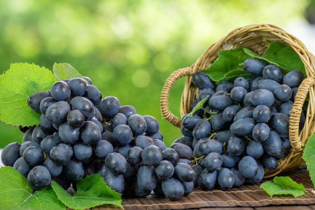 Juodos vynuogės ir jų nauda sveikatai – resveratrolis, naudingas širdžiai ir kraujagyslėms.