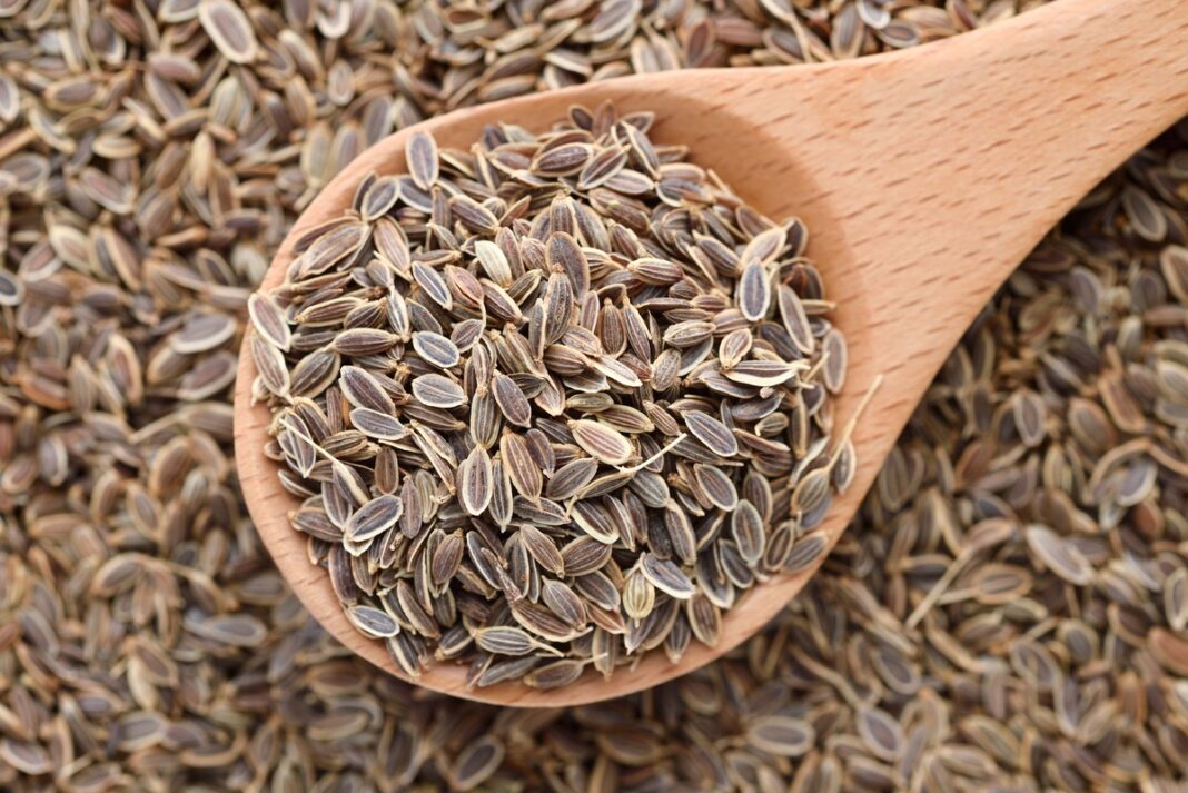 Krapų sėklos mediniame šaukšte – natūralus ingredientas arbatai ir sveikatai palaikyti.