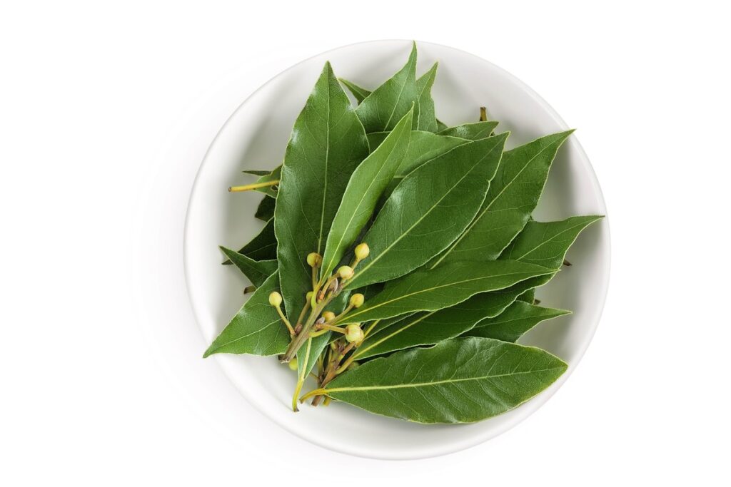 Lauro lapų vonios gali būti ruošiamos iš šviežių lapų – jie išsiskiria eteriniais aliejais ir suteikia atpalaiduojantį poveikį.