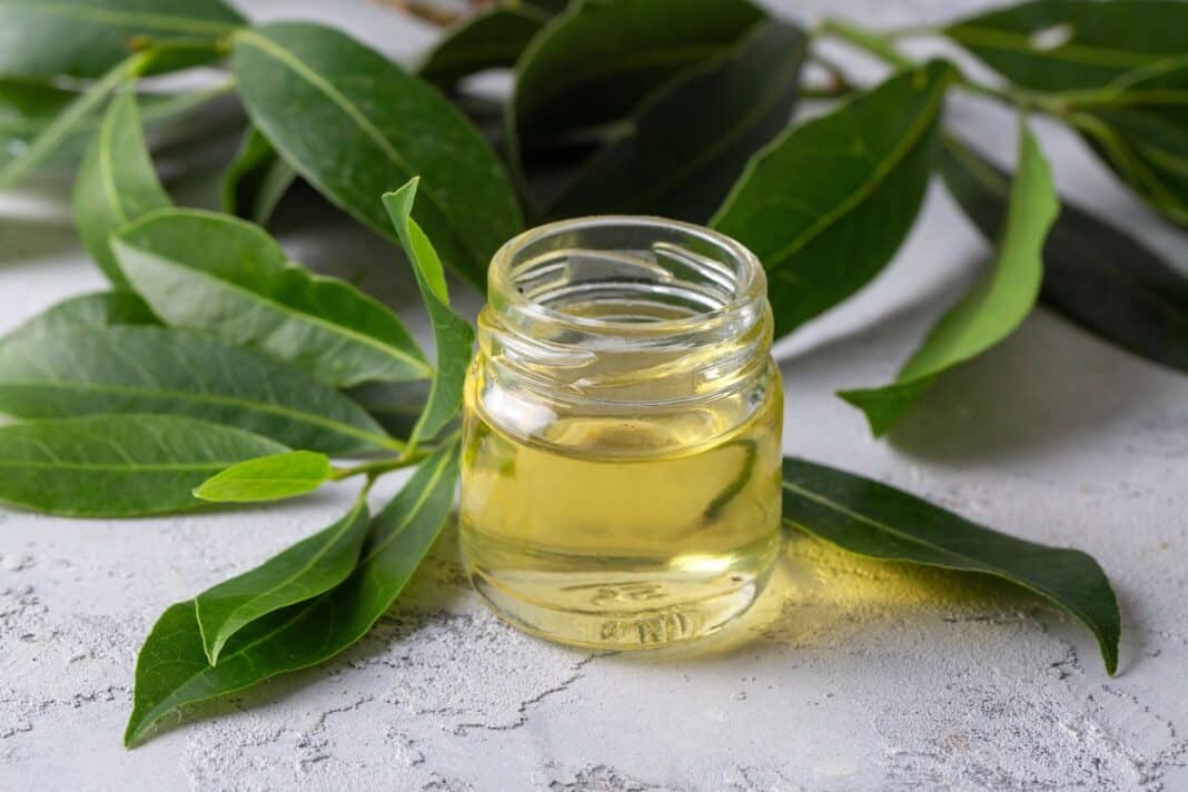 lauro-lapu-vonios-su-aliejumi Lauro lapų vonios papildytos eteriniu aliejumi suteikia dar stipresnį raminantį ir priešuždegiminį poveikį.