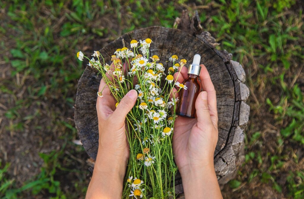 Natūralūs būdai regėjimui – ramunėlių žiedai ir augalinis užpilas akims stiprinti.
