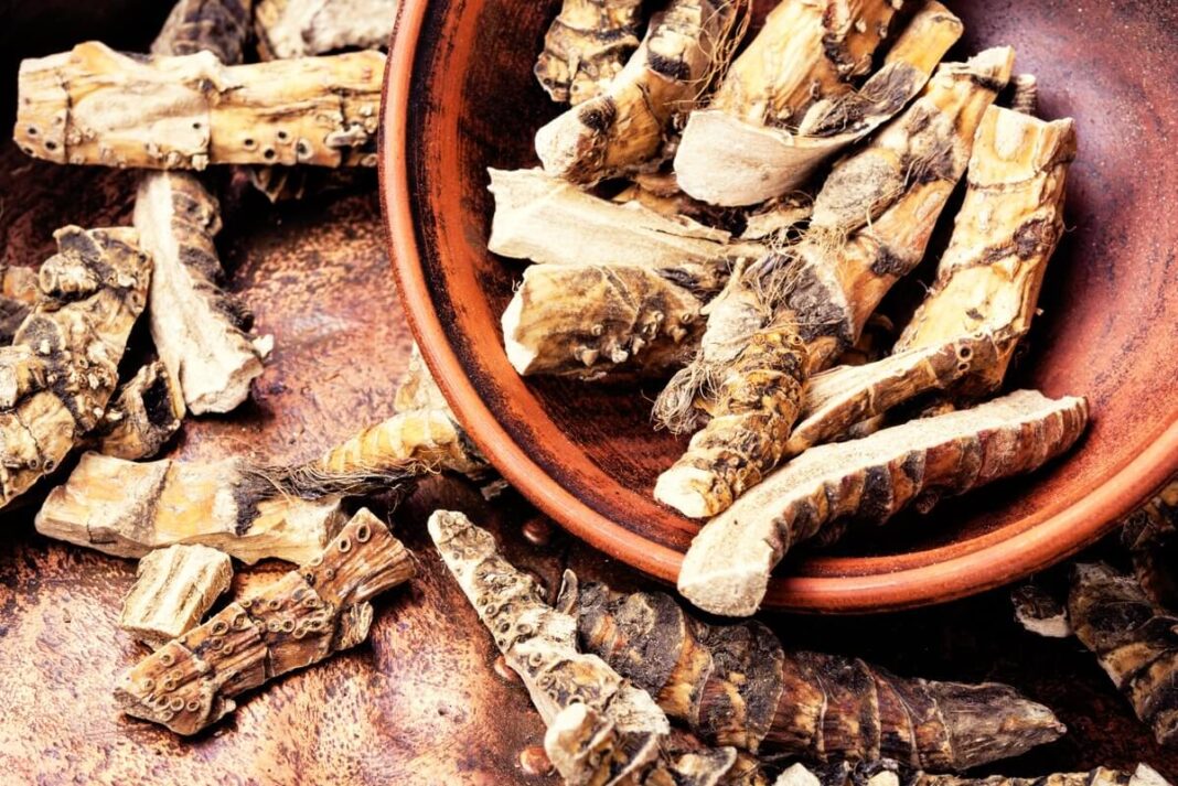 Augalas kuris sugrąžina atmintį – džiovintos ajero šaknys moliniame dubenyje, stiprinančios smegenų veiklą.