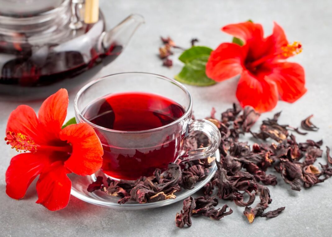 hibisko arbata kraujospūdžiui – sodriai raudona arbata su džiovintais hibisko žiedais ir žydinčiu gėliu šalia.