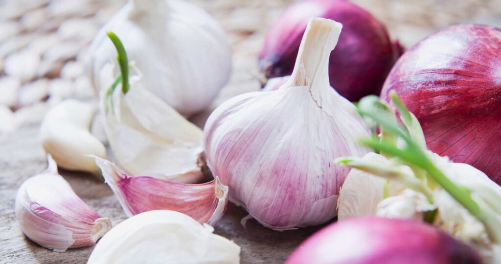 kaip užsiauginti česnakus iš skiltelių – šviežios česnako galvutės ir dygstančios skiltelės paruoštos auginimui namuose.