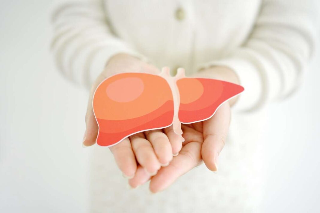 kepenis-valantis-gerimas-kepenu-sveikata kepenis valantis gėrimas simboliškai vaizduojamas per sveikų kepenų formą žmogaus rankose – vidinės pusiausvyros ir atsinaujinimo ženklas.