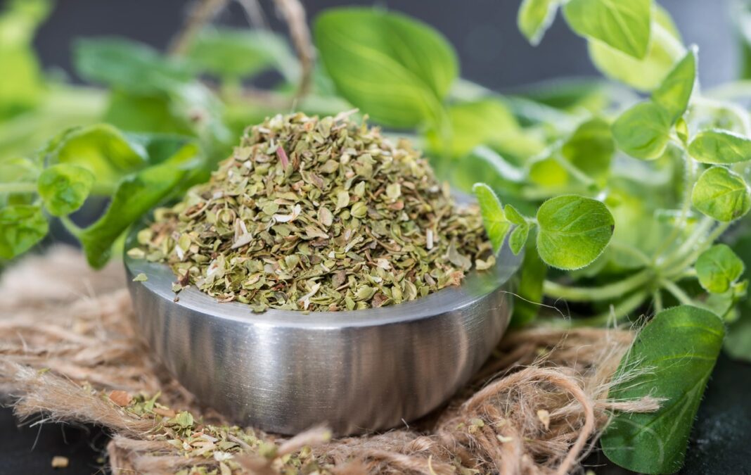 raudonelis-prieskonis-indelyje-su-zaliais-lapais Raudonėlis – aromatingas prieskonis indelyje, derinantis džiovintus lapus ir šviežią žalumą, turtingas antioksidantų.