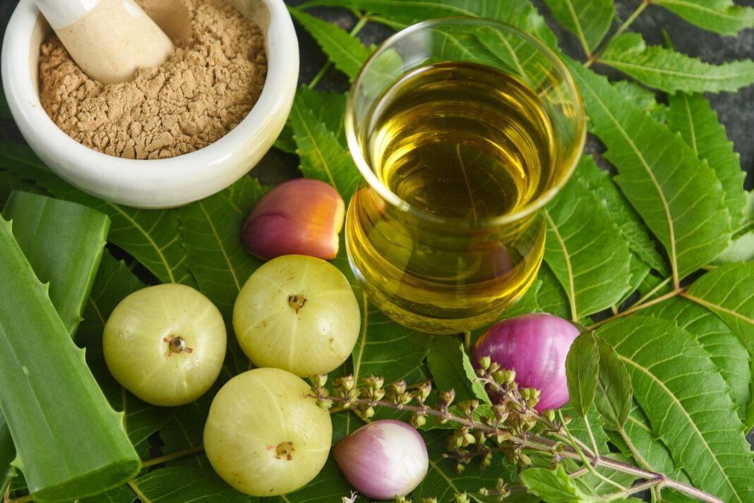 svogunu-receptas-venoms-naturaliu-ingredientu-mišinys Svogūnų receptas venoms – natūralių ingredientų mišinys su alaviju, amla vaisiais ir vaistažolėmis