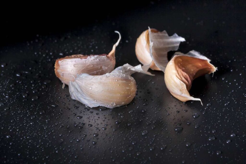 Žieminių česnakų stiprinimas – drėgnos, švarios česnako skiltelės po paruošimo druskos tirpalu.