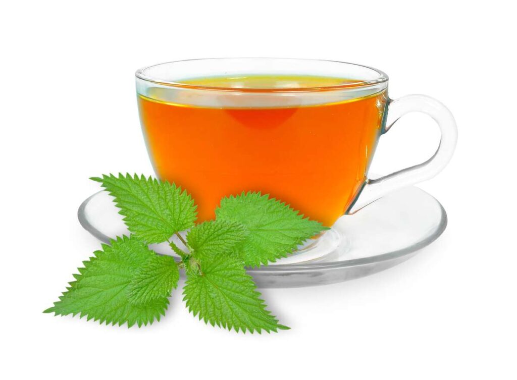 2 savaičių arbatos kursas – dilgėlių arbata stikliniame puodelyje su šviežiais lapais.