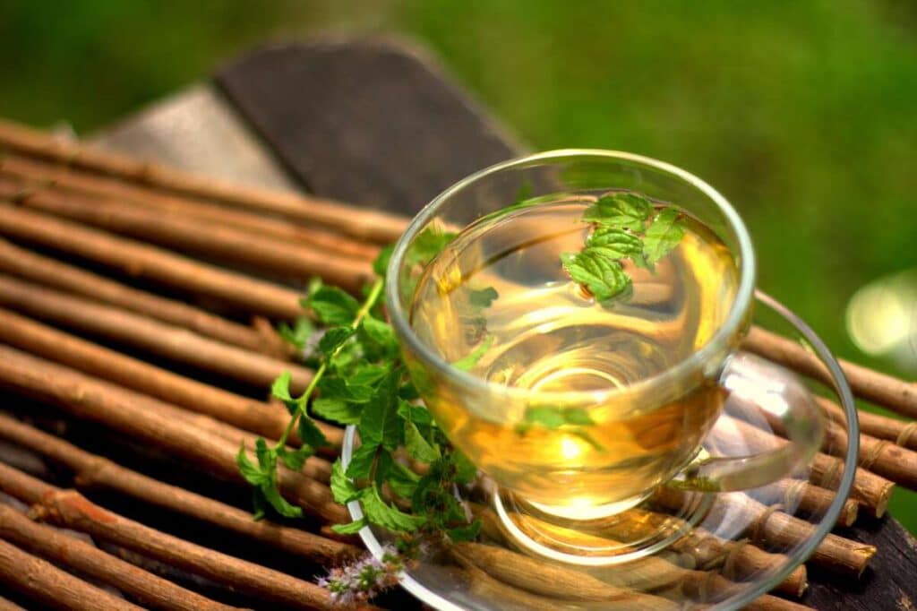 guavos lapų arbata stiklinėje, pagardinta šviežiomis žolelėmis ant medinių lazdelių