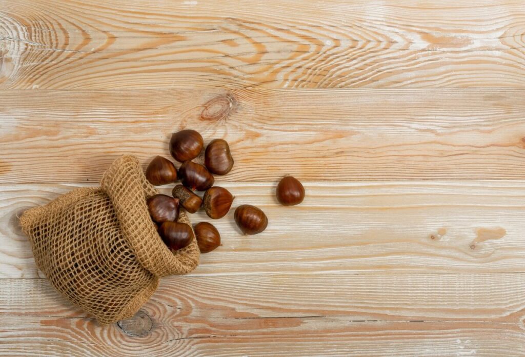 kastonu-maiselis issipyles ant sviesios medines lentos