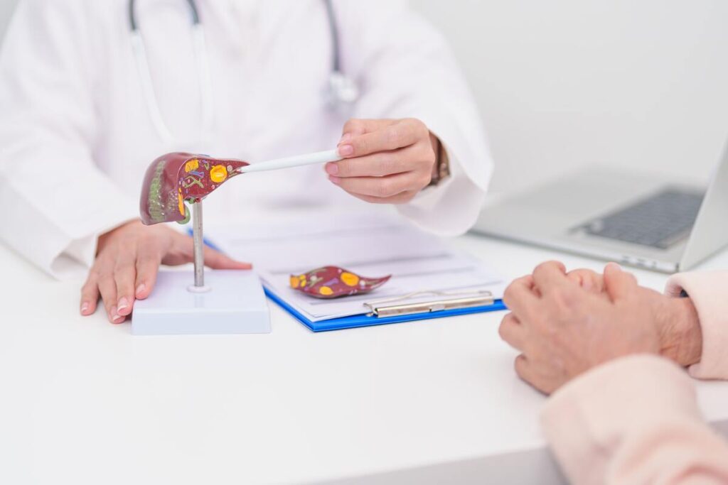 Kepenų valymas namuose – gydytojas rodo kepenų modelį pacientui per konsultaciją.