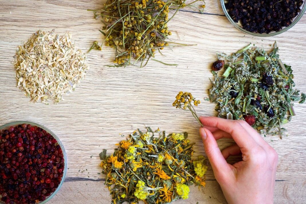 Kepenų valymas namuose – ant stalo sudėtos įvairios džiovintos žolelės kepenų detoksikacijai.