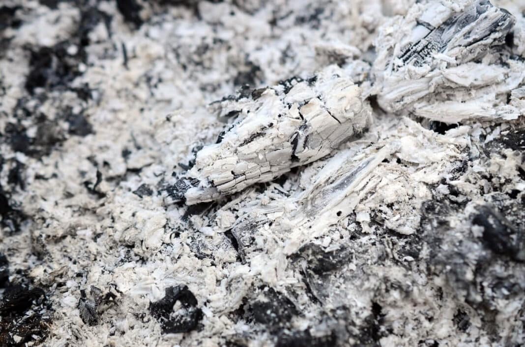 medžio pelenų nauda pavaizduota per baltus sausus pelenus, tinkamus naudoti tręšimui ir kompostui