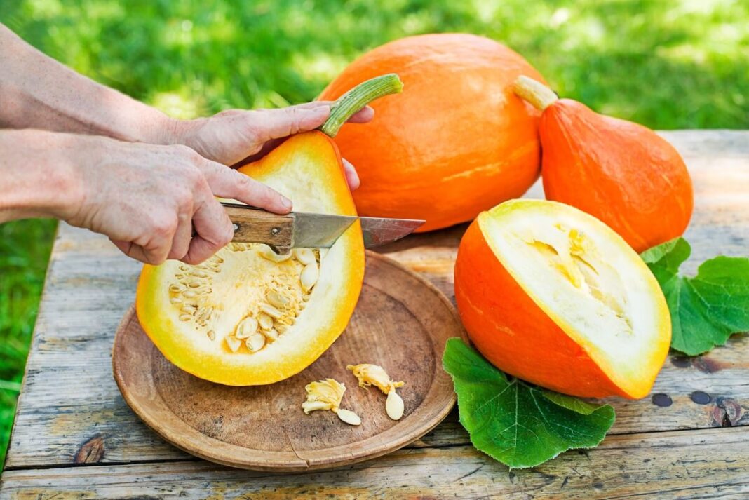 moliūgo nauda sveikatai pjaustomas šviežias moliūgas su sėklomis, paruoštas maistui ir didesnei maistinei vertei