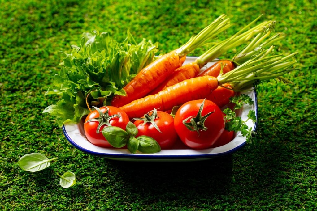 rytinis detoksas įkvėptas šviežių pomidorų, morkų ir žalumynų, sudėtų lėkštėje ant žalios vejos
