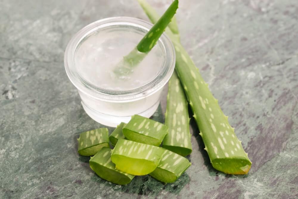 alavijo sultys žarnynui stikliniame inde su pjaustytais alavijo lapais ir permatomu geliu šviesiame fone