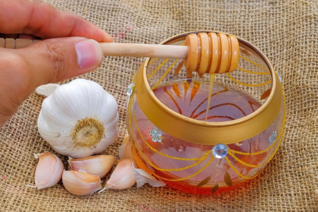 Česnako ir medaus mišinys trijuose stiklainiuose su šviežiais česnakais šalia.