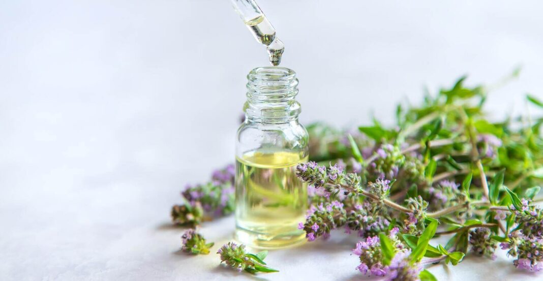 čiobrelių užpilo nauda perteikiama per šviesų augalinį skystį buteliuke šalia žydinčių čiobrelių