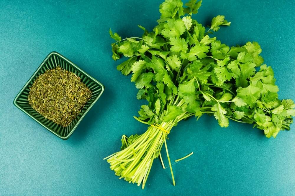 kalendra širdies sveikatai švieži lapai ir džiovinti prieskoniai ant žalio fono