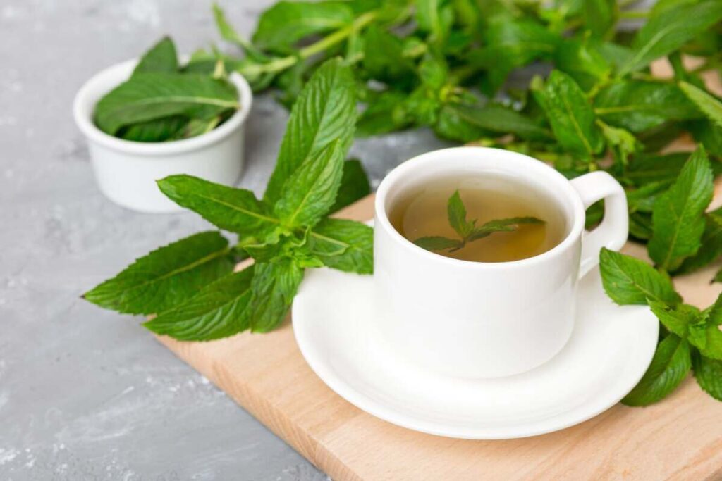 mėtų arbatos nauda perteikta baltame puodelyje su plūduriuojančiais mėtų lapeliais