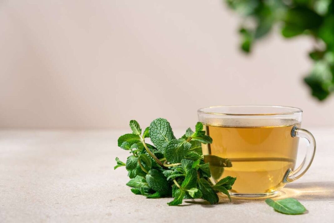 mėtų arbatos nauda pavaizduota šiltame puodelyje su šviežiomis mėtoms šalia