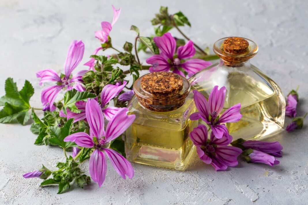 miskines-dedesvos-nauda ziedai salia vaistinejams naudojamo uzpilo buteliukuose