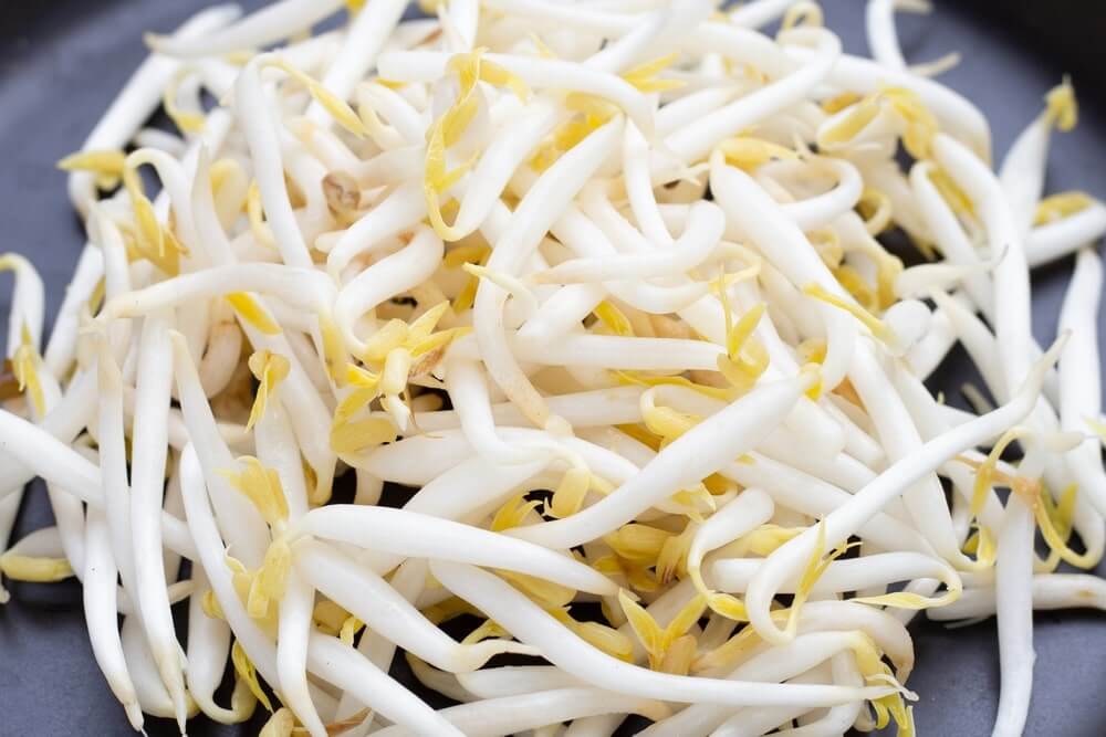 pupelių daigai švieži, šviesūs, su aiškia tekstūra